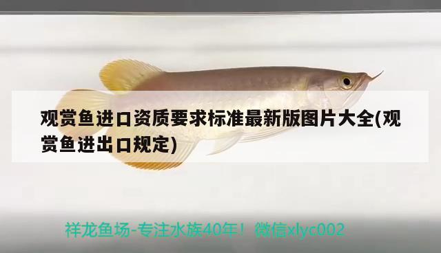 觀賞魚(yú)進(jìn)口資質(zhì)要求標(biāo)準(zhǔn)最新版圖片大全(觀賞魚(yú)進(jìn)出口規(guī)定)