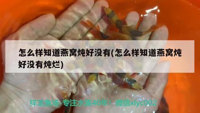 怎么樣知道燕窩燉好沒(méi)有(怎么樣知道燕窩燉好沒(méi)有燉爛) 馬來(lái)西亞燕窩