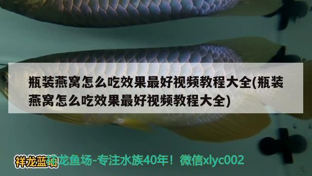 瓶裝燕窩怎么吃效果最好視頻教程大全(瓶裝燕窩怎么吃效果最好視頻教程大全) 馬來(lái)西亞燕窩