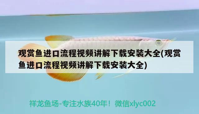 觀賞魚進(jìn)口流程視頻講解下載安裝大全(觀賞魚進(jìn)口流程視頻講解下載安裝大全)