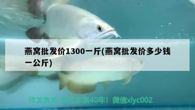 燕窩批發(fā)價1300一斤(燕窩批發(fā)價多少錢一公斤) 馬來西亞燕窩