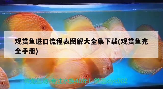 觀賞魚進(jìn)口流程表圖解大全集下載(觀賞魚完全手冊)