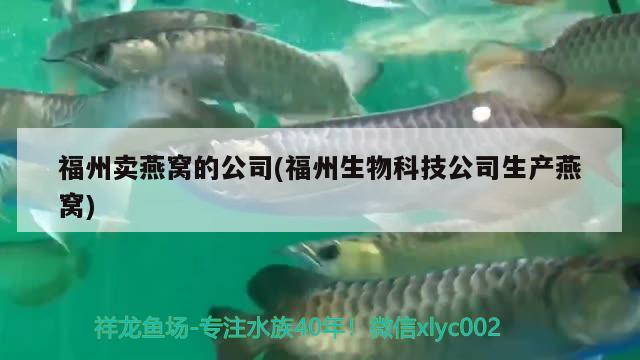 福州賣燕窩的公司(福州生物科技公司生產(chǎn)燕窩) 馬來西亞燕窩