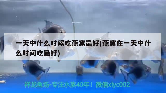 一天中什么時(shí)候吃燕窩最好(燕窩在一天中什么時(shí)間吃最好) 馬來(lái)西亞燕窩