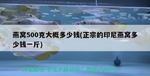 燕窩500克大概多少錢(正宗的印尼燕窩多少錢一斤)