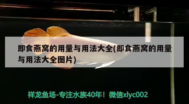 即食燕窩的用量與用法大全(即食燕窩的用量與用法大全圖片)