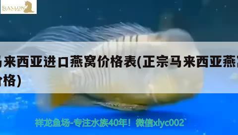 馬來西亞進口燕窩價格表(正宗馬來西亞燕窩價格) 馬來西亞燕窩