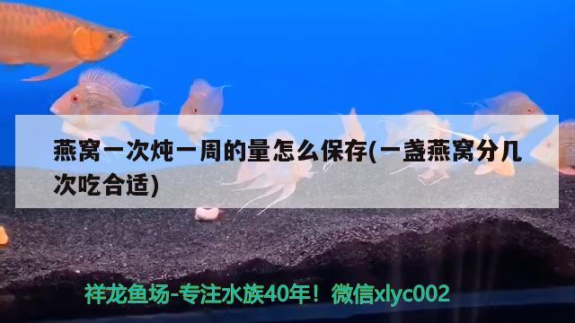 燕窩一次燉一周的量怎么保存(一盞燕窩分幾次吃合適) 馬來西亞燕窩