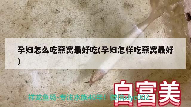 孕婦怎么吃燕窩最好吃(孕婦怎樣吃燕窩最好)