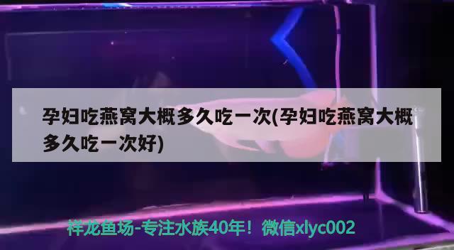 孕婦吃燕窩大概多久吃一次(孕婦吃燕窩大概多久吃一次好) 馬來西亞燕窩