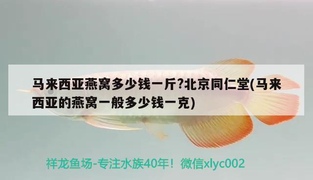 馬來西亞燕窩多少錢一斤?北京同仁堂(馬來西亞的燕窩一般多少錢一克) 馬來西亞燕窩