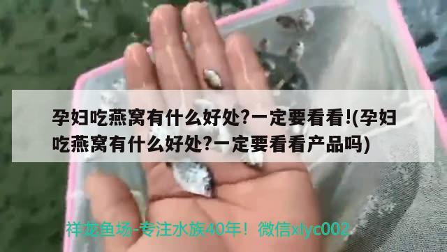 孕婦吃燕窩有什么好處?一定要看看!(孕婦吃燕窩有什么好處?一定要看看產(chǎn)品嗎) 馬來(lái)西亞燕窩