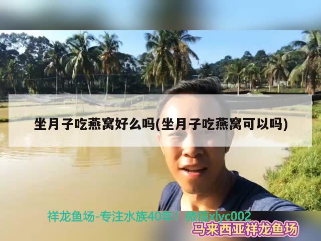 坐月子吃燕窩好么嗎(坐月子吃燕窩可以嗎) 馬來西亞燕窩