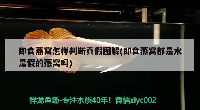 即食燕窩怎樣判斷真假圖解(即食燕窩都是水是假的燕窩嗎)