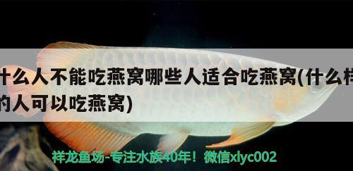 什么人不能吃燕窩哪些人適合吃燕窩(什么樣的人可以吃燕窩)