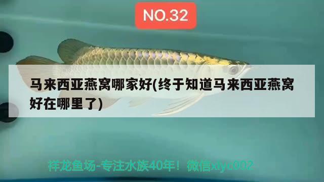 馬來西亞燕窩哪家好(終于知道馬來西亞燕窩好在哪里了) 馬來西亞燕窩