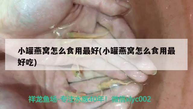 小罐燕窩怎么食用最好(小罐燕窩怎么食用最好吃)