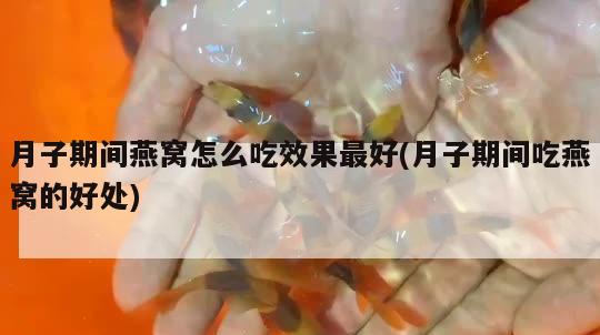 月子期間燕窩怎么吃效果最好(月子期間吃燕窩的好處)