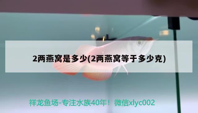 2兩燕窩是多少(2兩燕窩等于多少克) 馬來西亞燕窩