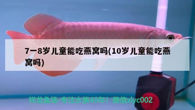 7一8歲兒童能吃燕窩嗎(10歲兒童能吃燕窩嗎)