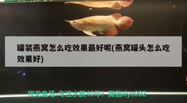 罐裝燕窩怎么吃效果最好呢(燕窩罐頭怎么吃效果好) 馬來(lái)西亞燕窩