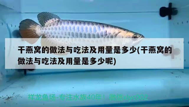 干燕窩的做法與吃法及用量是多少(干燕窩的做法與吃法及用量是多少呢)