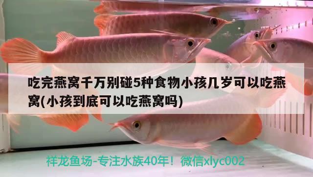 吃完燕窩千萬別碰5種食物小孩幾歲可以吃燕窩(小孩到底可以吃燕窩嗎) 馬來西亞燕窩