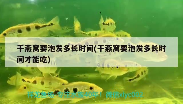 干燕窩要泡發(fā)多長(zhǎng)時(shí)間(干燕窩要泡發(fā)多長(zhǎng)時(shí)間才能吃)