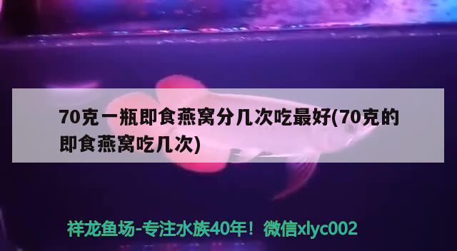 70克一瓶即食燕窩分幾次吃最好(70克的即食燕窩吃幾次)