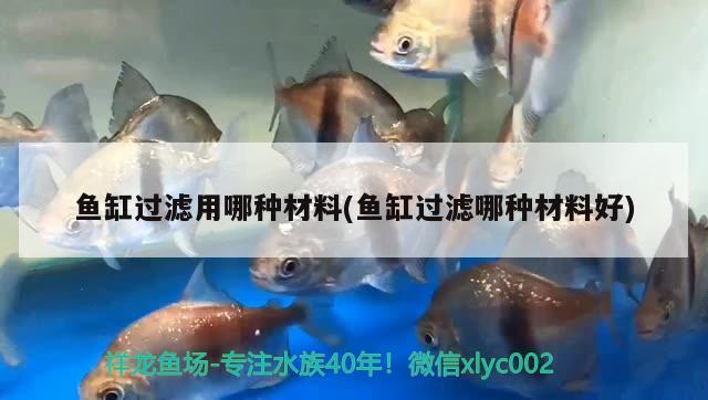 魚缸過濾用哪種材料(魚缸過濾哪種材料好)