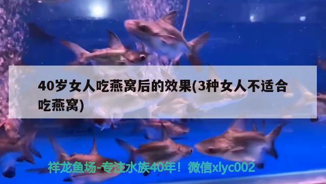 40歲女人吃燕窩后的效果(3種女人不適合吃燕窩) 馬來西亞燕窩