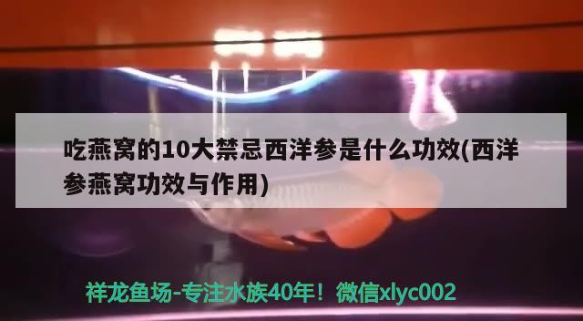 吃燕窩的10大禁忌西洋參是什么功效(西洋參燕窩功效與作用)