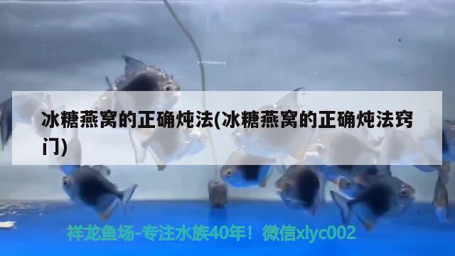 冰糖燕窩的正確燉法(冰糖燕窩的正確燉法竅門) 馬來西亞燕窩