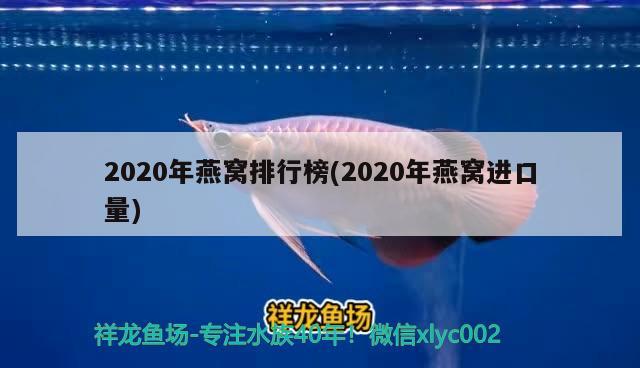 2020年燕窩排行榜(2020年燕窩進口量)