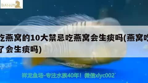 吃燕窩的10大禁忌吃燕窩會生痰嗎(燕窩吃了會生痰嗎)