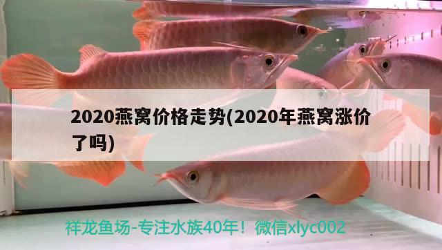 2020燕窩價(jià)格走勢(shì)(2020年燕窩漲價(jià)了嗎) 馬來(lái)西亞燕窩