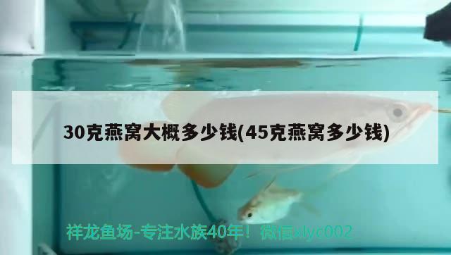 30克燕窩大概多少錢(45克燕窩多少錢)