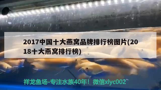 2017中國(guó)十大燕窩品牌排行榜圖片(2018十大燕窩排行榜) 馬來(lái)西亞燕窩