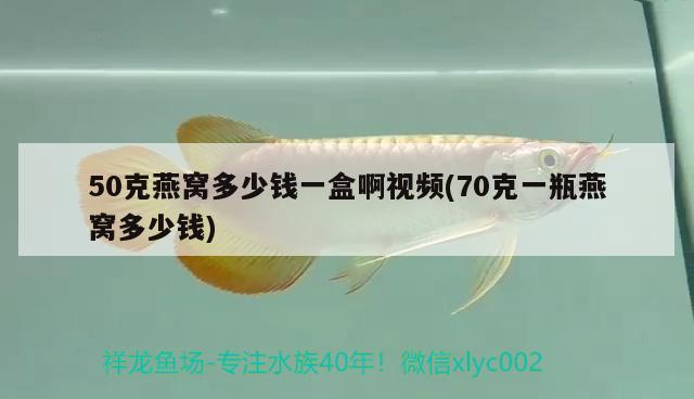 50克燕窩多少錢一盒啊視頻(70克一瓶燕窩多少錢) 馬來(lái)西亞燕窩 第2張