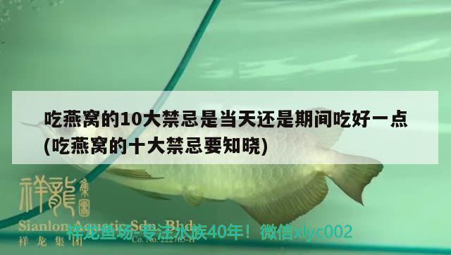 吃燕窩的10大禁忌是當(dāng)天還是期間吃好一點(diǎn)(吃燕窩的十大禁忌要知曉) 馬來(lái)西亞燕窩