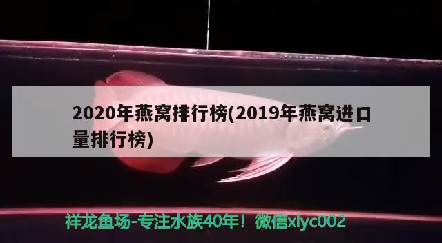 2020年燕窩排行榜(2019年燕窩進(jìn)口量排行榜) 馬來西亞燕窩