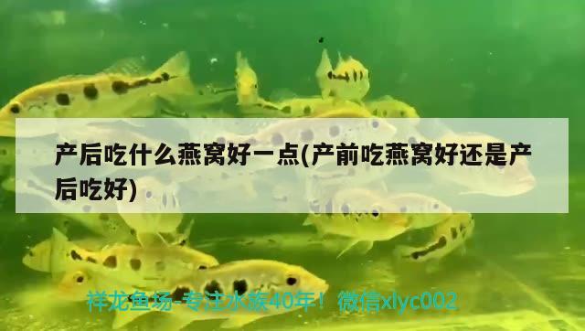 產(chǎn)后吃什么燕窩好一點(diǎn)(產(chǎn)前吃燕窩好還是產(chǎn)后吃好) 馬來(lái)西亞燕窩