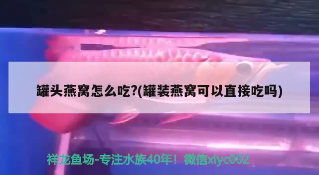 罐頭燕窩怎么吃?(罐裝燕窩可以直接吃嗎)