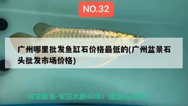 廣州哪里批發(fā)魚缸石價格最低的(廣州盆景石頭批發(fā)市場價格) 觀賞魚水族批發(fā)市場