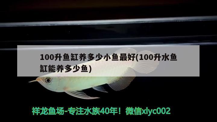 100升魚缸養(yǎng)多少小魚最好(100升水魚缸能養(yǎng)多少魚) 狗頭魚 第3張