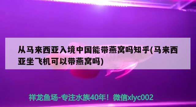 從馬來西亞入境中國能帶燕窩嗎知乎(馬來西亞坐飛機(jī)可以帶燕窩嗎) 馬來西亞燕窩