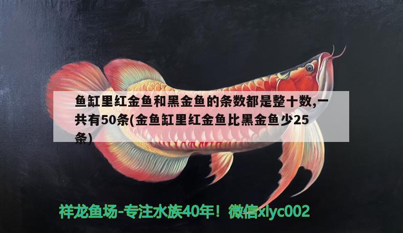 魚缸里紅金魚和黑金魚的條數(shù)都是整十?dāng)?shù),一共有50條(金魚缸里紅金魚比黑金魚少25條)