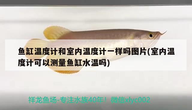 魚缸溫度計(jì)和室內(nèi)溫度計(jì)一樣嗎圖片(室內(nèi)溫度計(jì)可以測(cè)量魚缸水溫嗎) 肥料