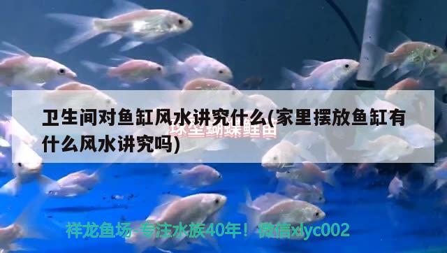 衛(wèi)生間對(duì)魚缸風(fēng)水講究什么(家里擺放魚缸有什么風(fēng)水講究嗎) 魚缸風(fēng)水