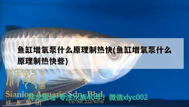 魚缸增氧泵什么原理制熱快(魚缸增氧泵什么原理制熱快些) 祥龍進(jìn)口元寶鳳凰魚